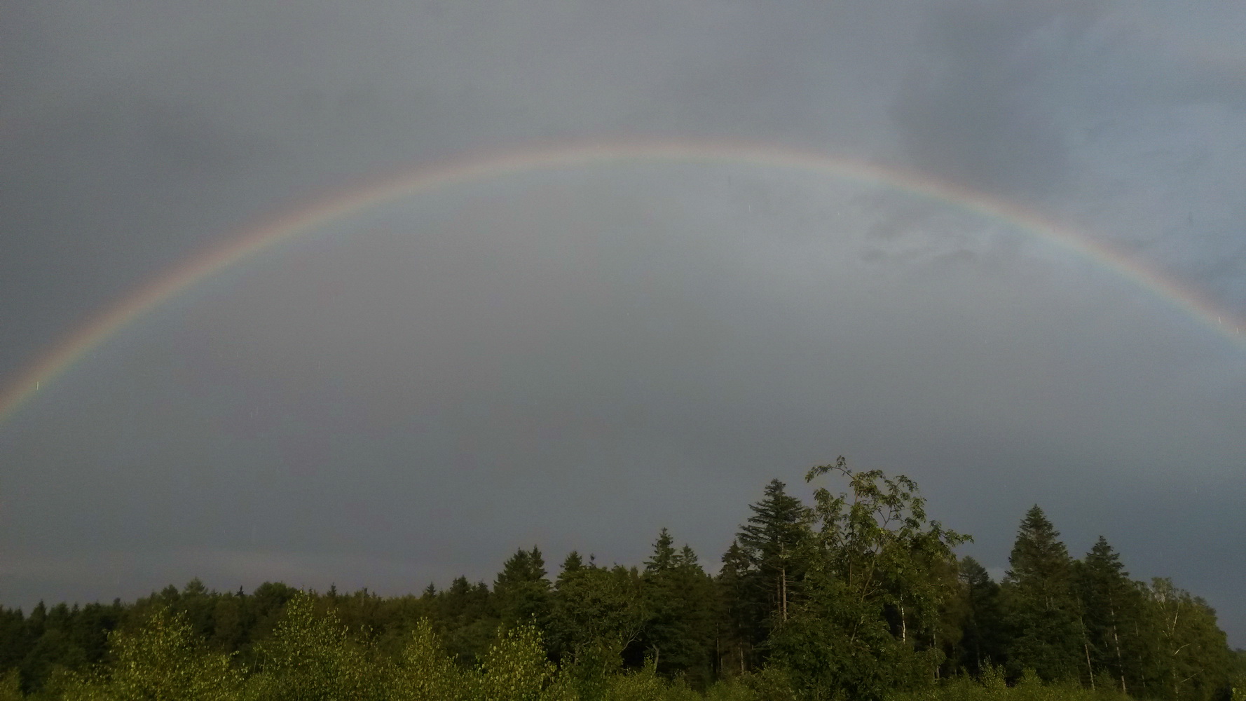 __Regenbogen__20150904_181548.jpg