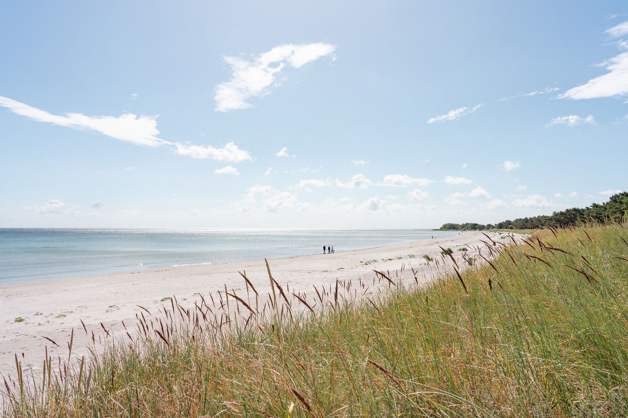 Weiter Sandstrand bei Balka mit Dünengras im Vordergrund und dem ruhigen blauen Wasser der Ostsee unter einem hellen Sommerhimmel.
