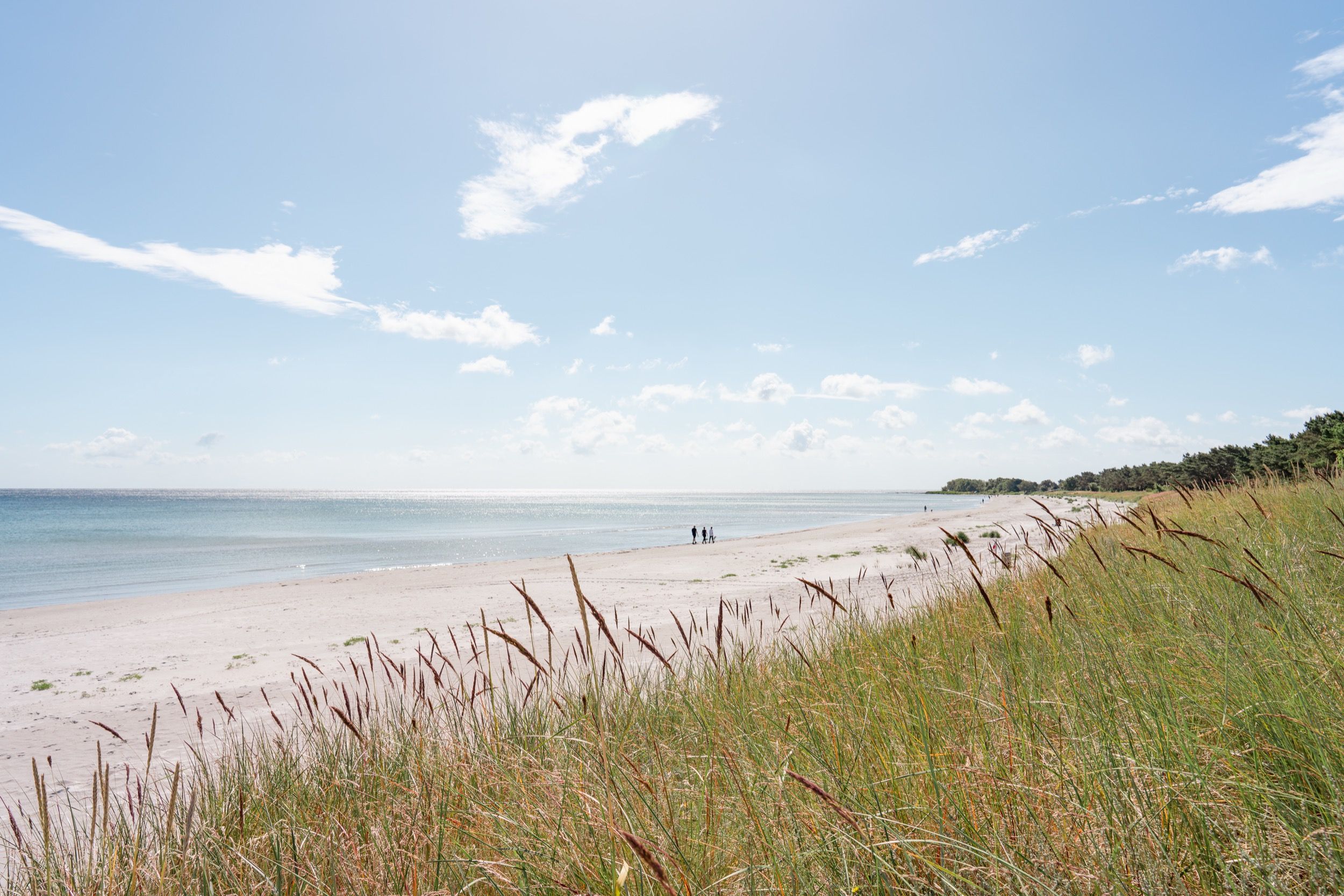 Weiter Sandstrand bei Balka mit Dünengras im Vordergrund und dem ruhigen blauen Wasser der Ostsee unter einem hellen Sommerhimmel.