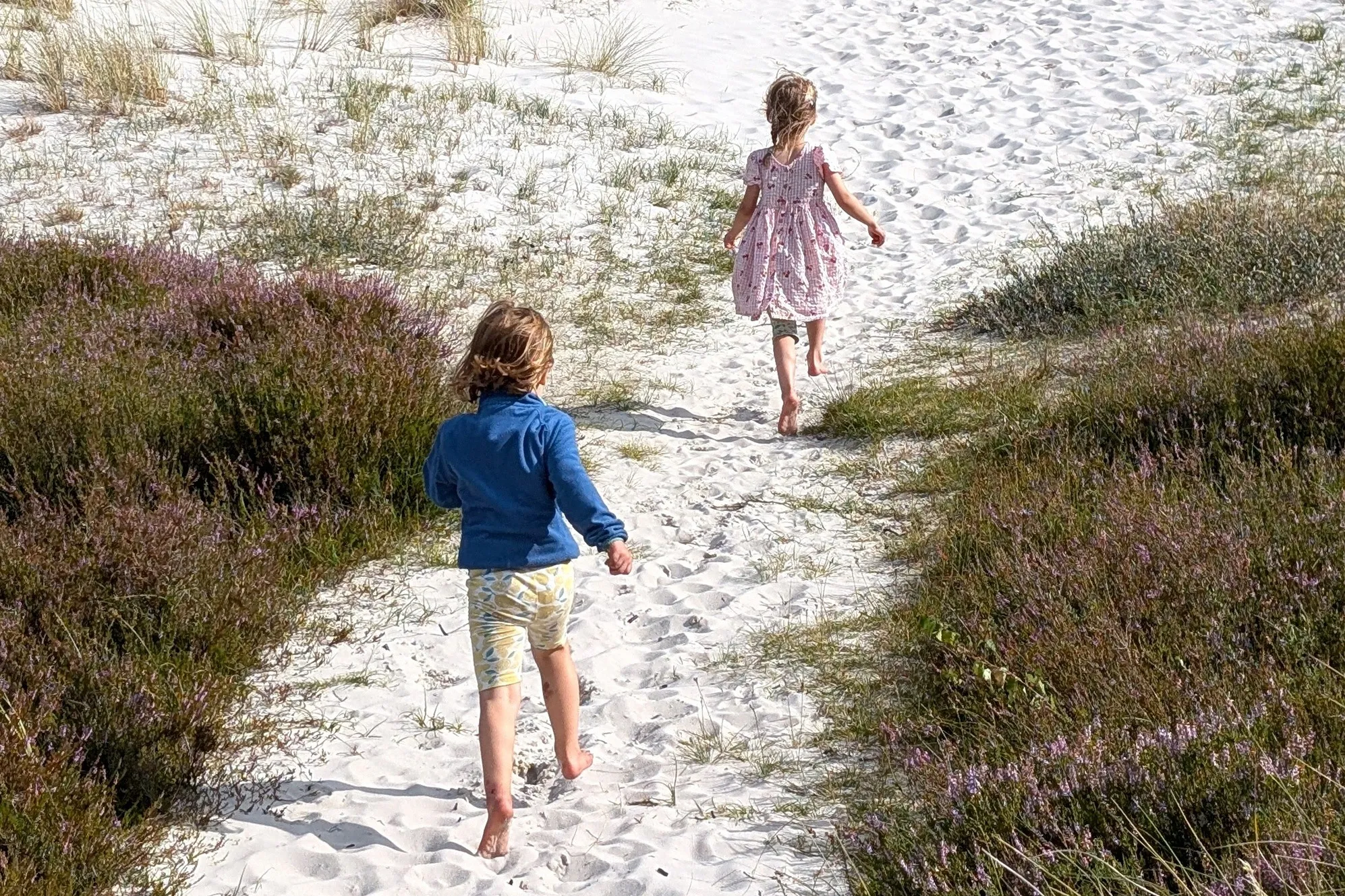 Zwei Kinder laufen barfuß über einen weißen Sandpfad zwischen Heide zum Strand