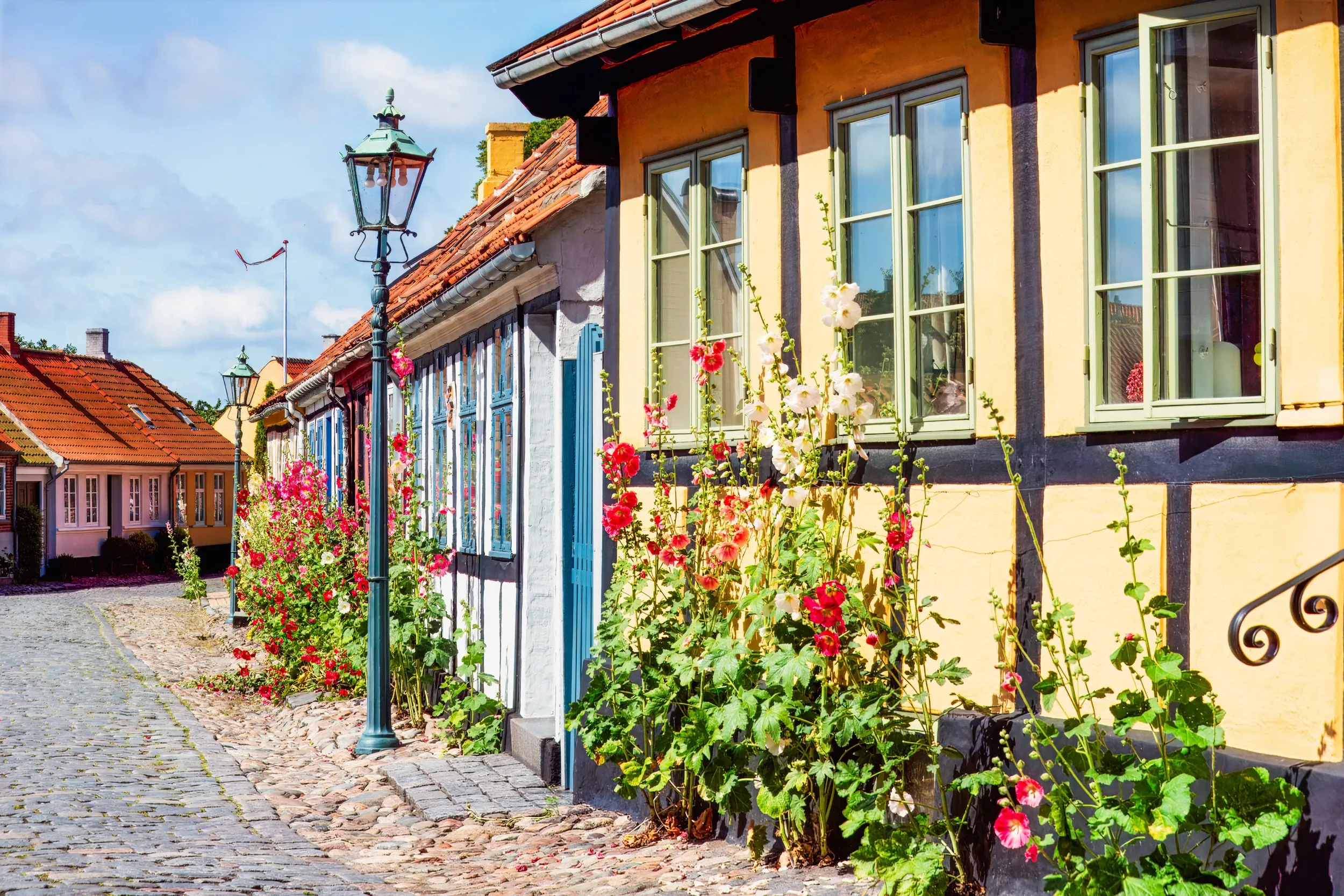 Kopfsteinpflastergasse in Rønne mit Fachwerkhäusern und blühenden Stockrosen