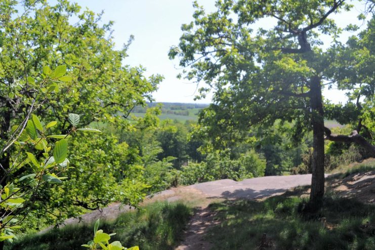 fernblick vom Dronningensten.jpg