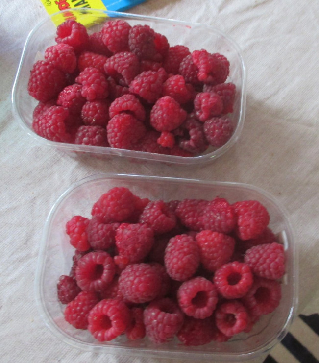 Himbeeren.jpg