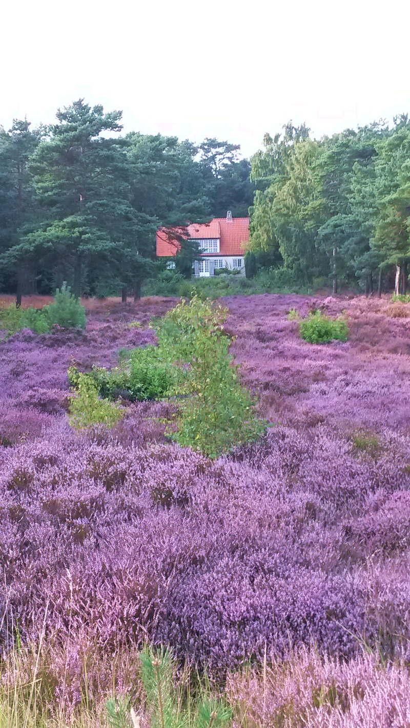 __Ferienhäuschen__20150823_173545.jpg