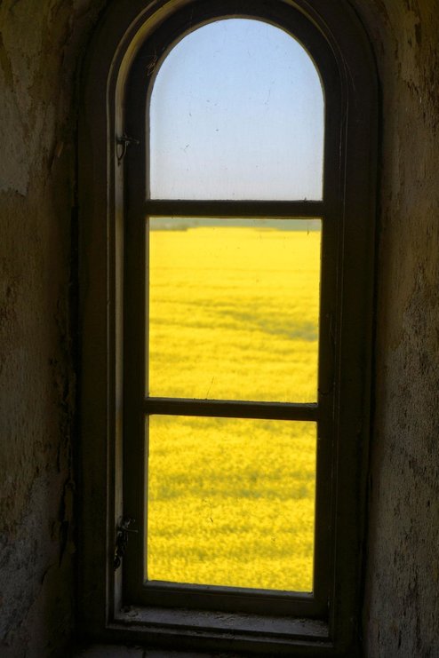 Ausblick alter Turm ver.jpg