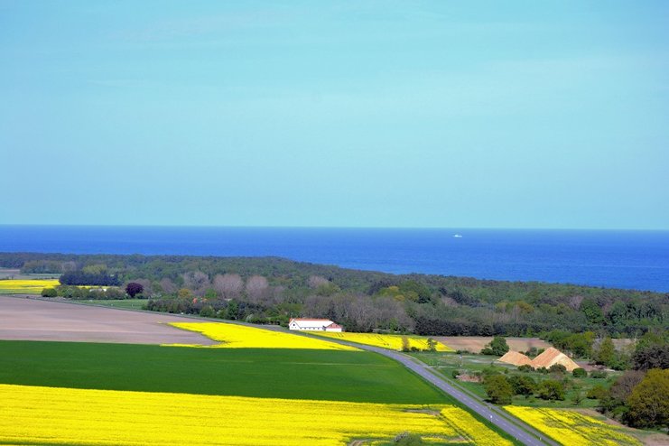 Aussicht vom Dueodde Turm ver.jpg