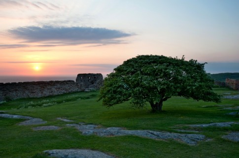 Bornholms romantische Natur