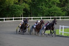 Trabrennbahn im Forst von Almindingen