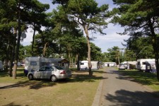 Dueodde Familiecamping & Hostel