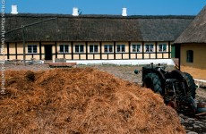 Freilichtmuseum Melstedgård