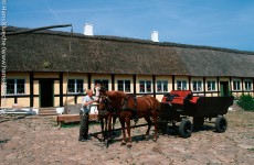 Freilichtmuseum Melstedgård