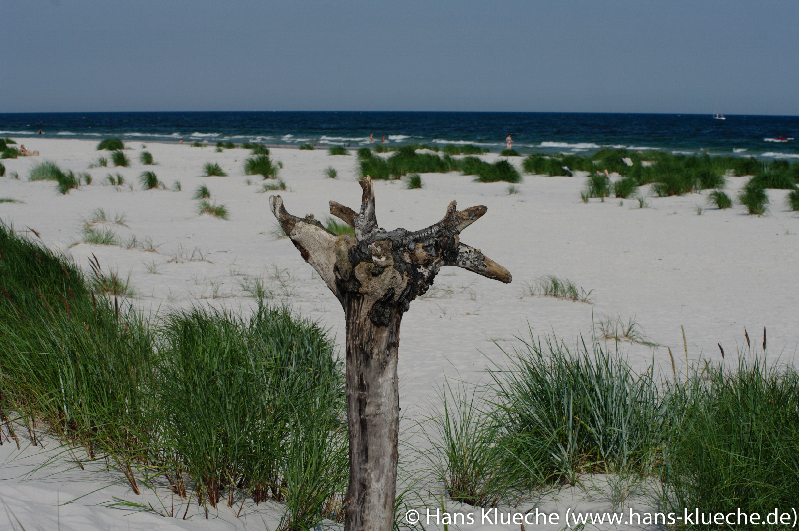 Strandgut Dueodde Strand