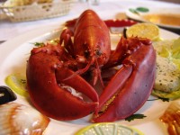 lobster-752705_1280