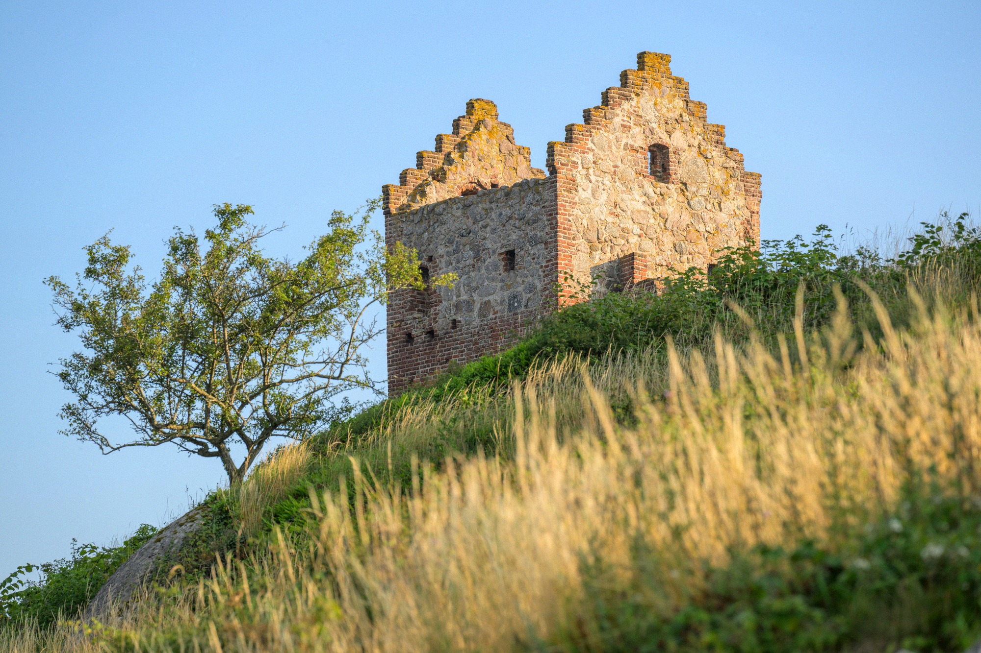 The Hammershus castle ruin above Bornholm's rocky coastline