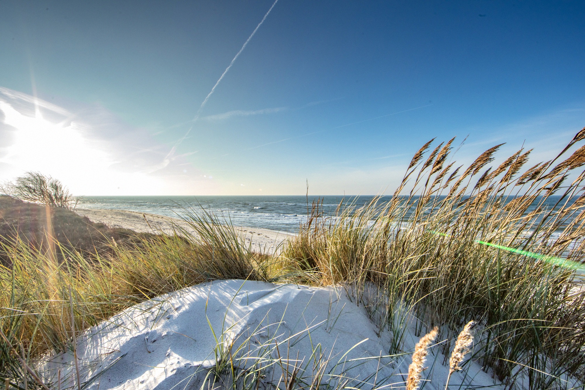 Goldenes Gegenlicht taucht einen breiten Sandstrand mit Duenengras und weissem Sand in warmes Abendlicht, wobei der IPTC-Titel und Keywords Unsicherheit ueber den genauen Standort hinterlassen.